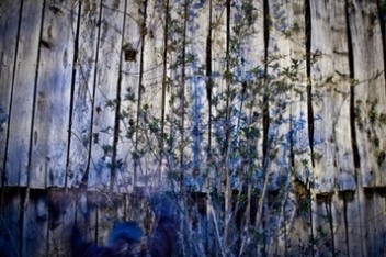 cliquez pour entrer dans sa galerie