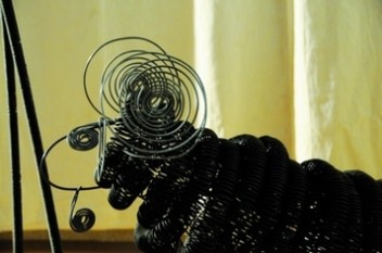 cliquez pour entrer dans sa galerie